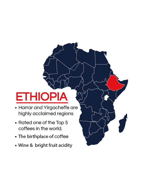 Ethiopia Yirgacheffe Coffee - US Roast