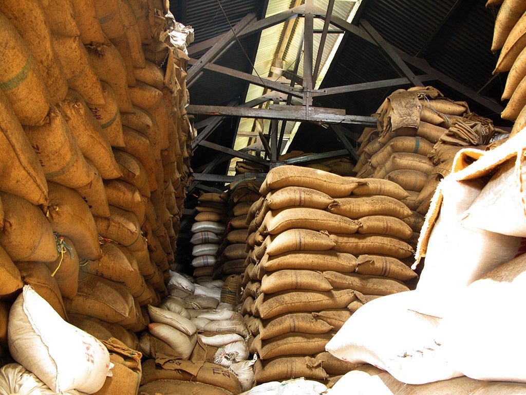 How to Store Coffee Beans - US Roast