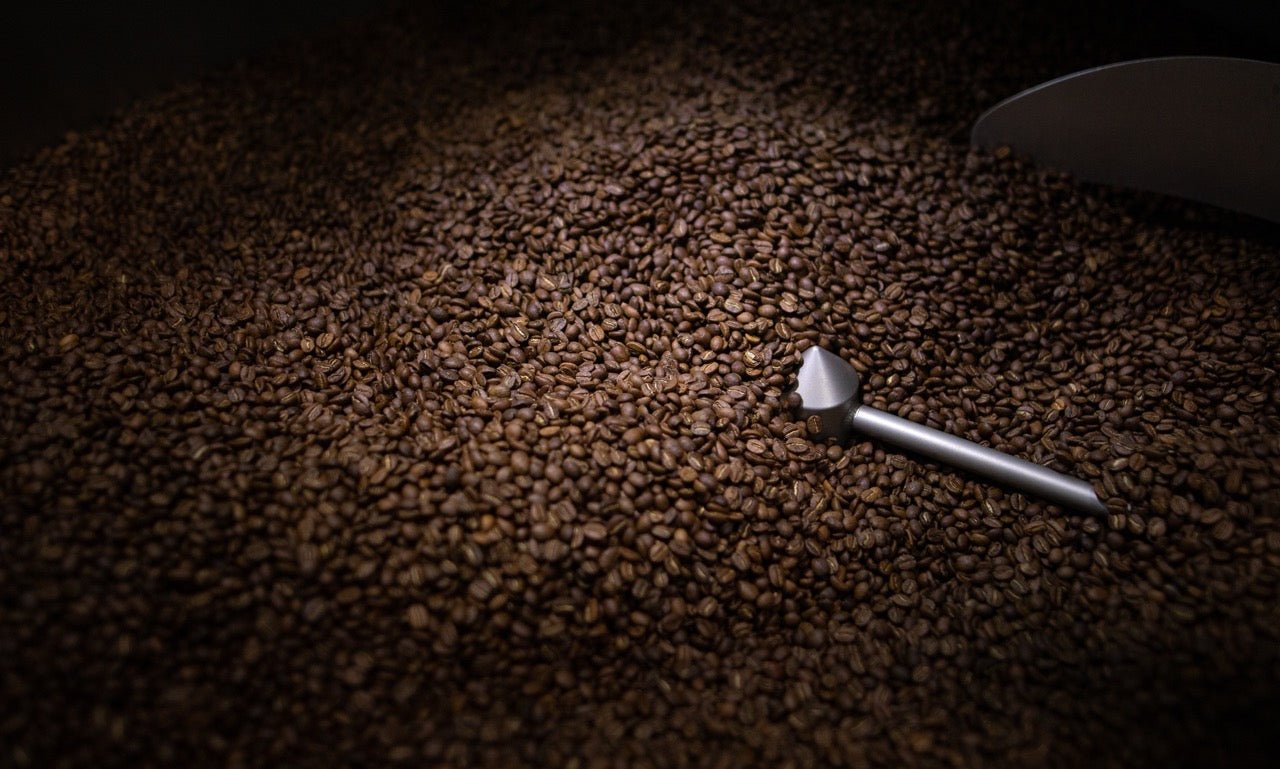 Loring Peregrine Roasters: A Game-Changer in the Coffee Industry and US Roast's Secret Weapon - US Roast