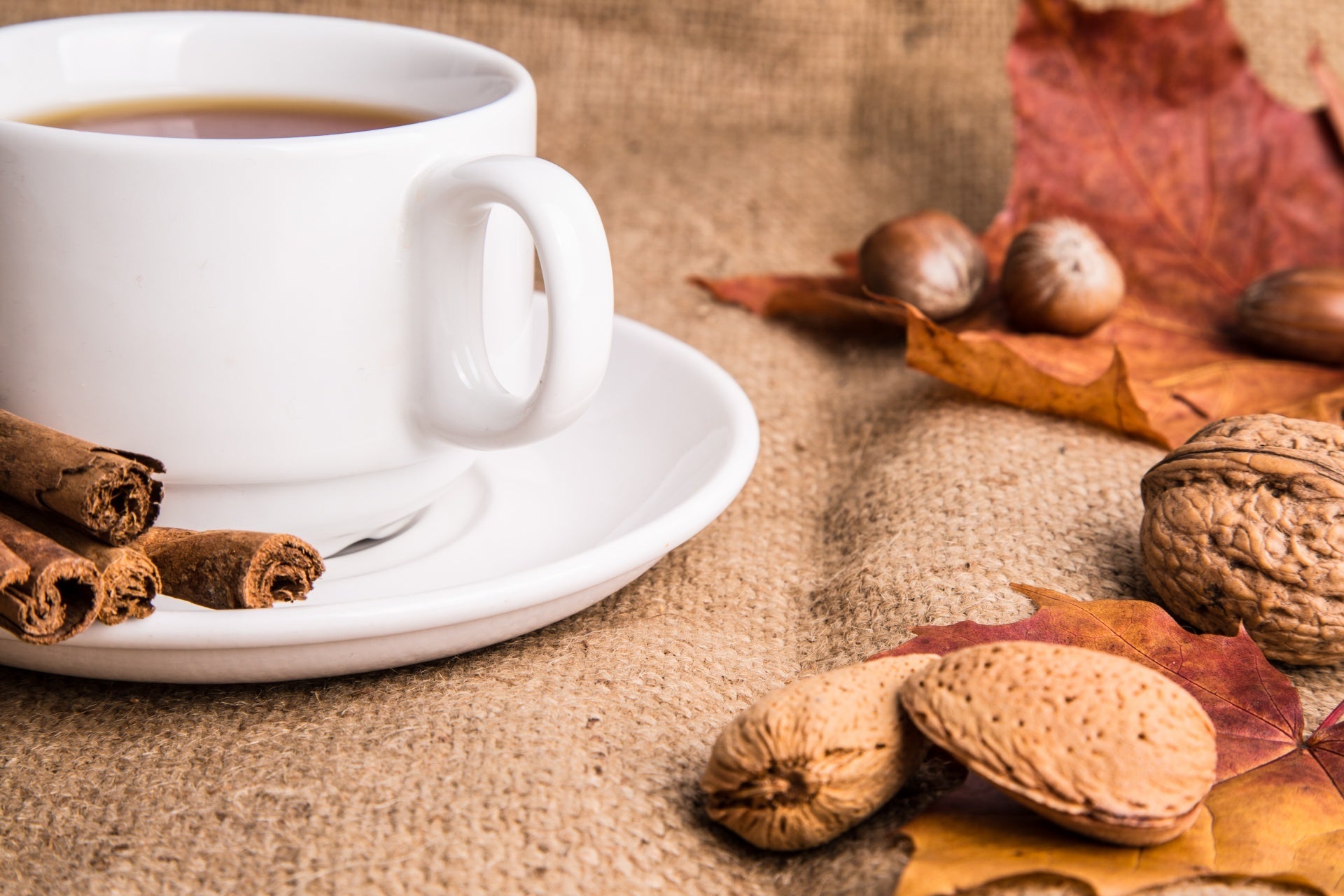 The Best Fall Coffee Drinks - US Roast