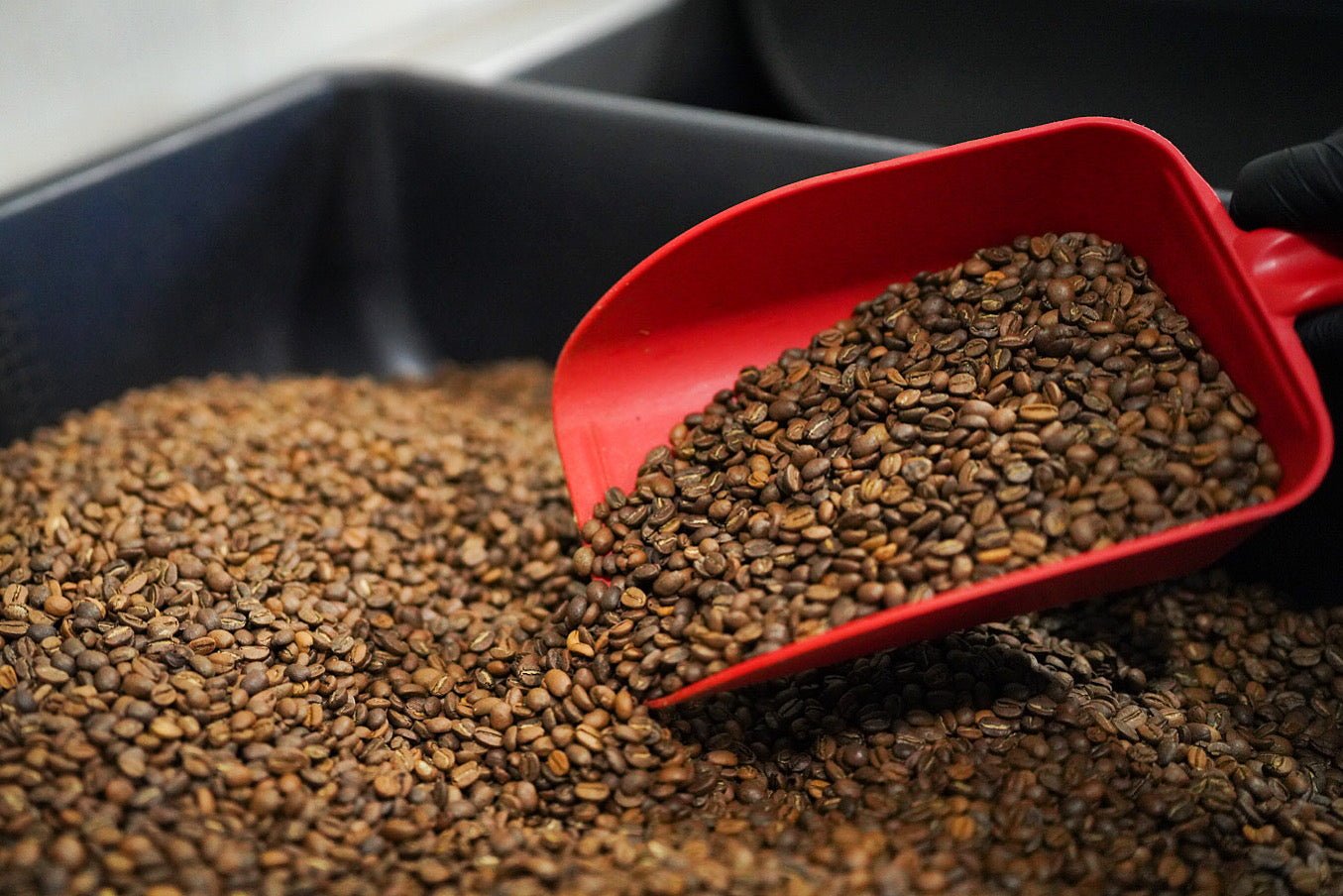 The Complete Guide to Wholesale Coffee: Why Partnering with US Roast Makes All the Difference - US Roast
