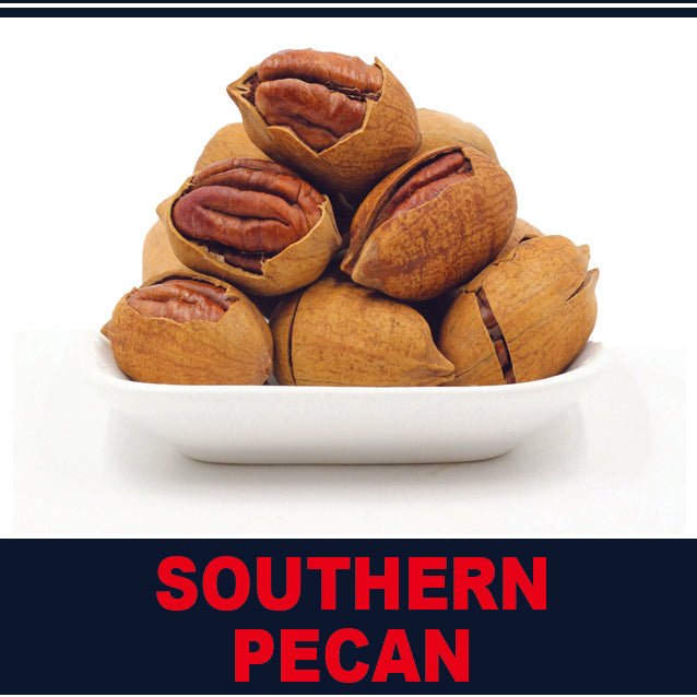 Southern Pecan Coffee - Medium Roast - US Roast